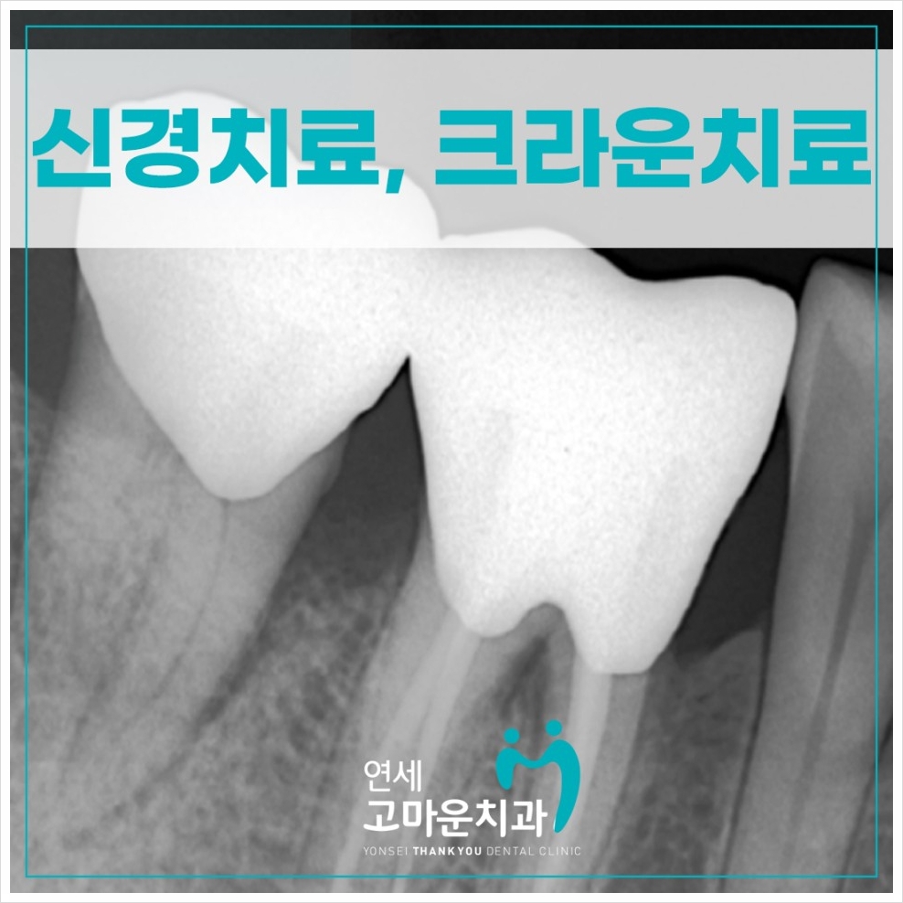 다정동신경치료잘하는곳
