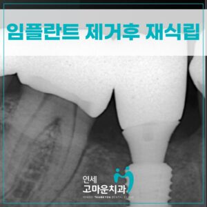 세종치과추천