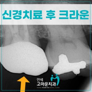 한솔동야간진료치과