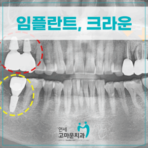 세종시치과1