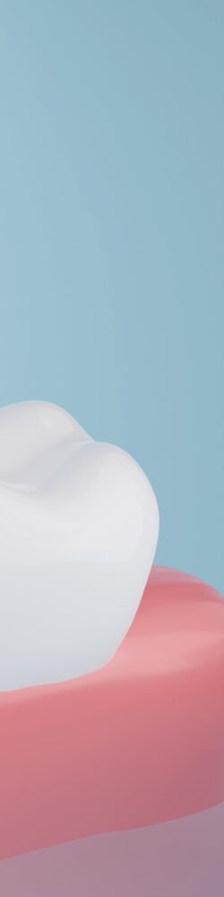 세종시 임플란트 잘하는곳